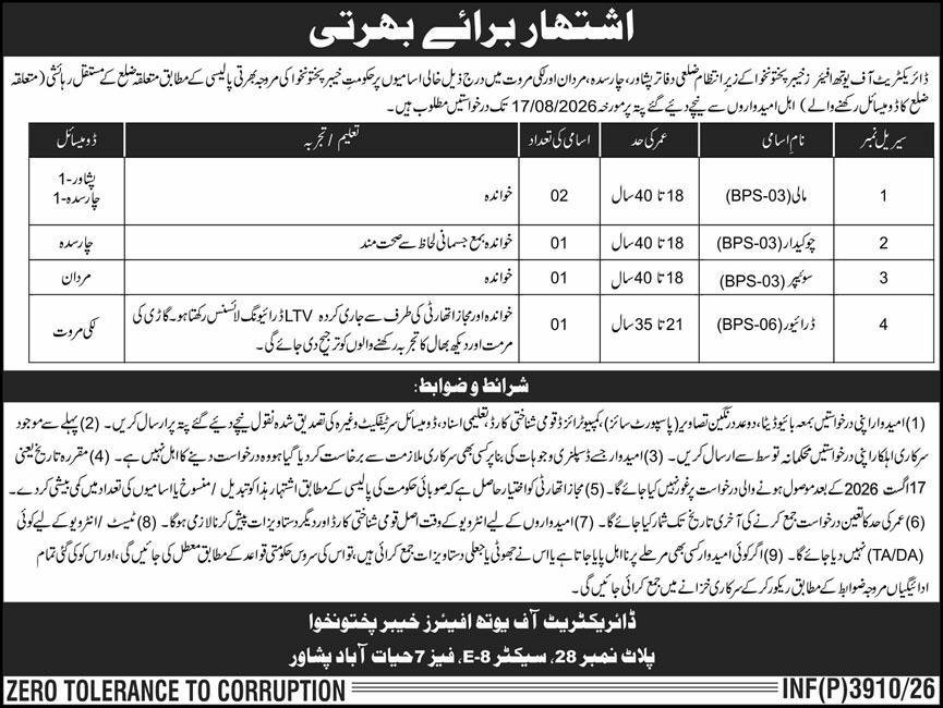 Directorate of Youth Affairs KPK Jobs 2026 Easy Apply Online